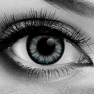 ColorMax Gray Lenses